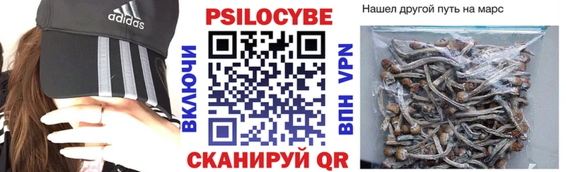 купить Луга Галлюциногенные грибы GOLDEN TEACHER